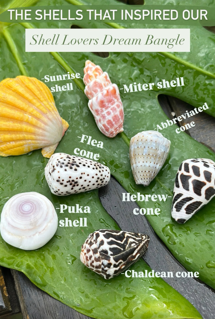 $95 SHELL LOVERS DREAM BANGLE