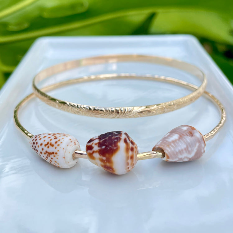 Featuring: Flea Cone Shell, Orange-Brown Cone Shell, Cat Cone Shell