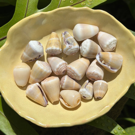 Caramel Pastel Cone Shell Bangle