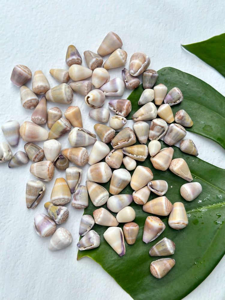 Surprise Pastel Cone Shell Bangle