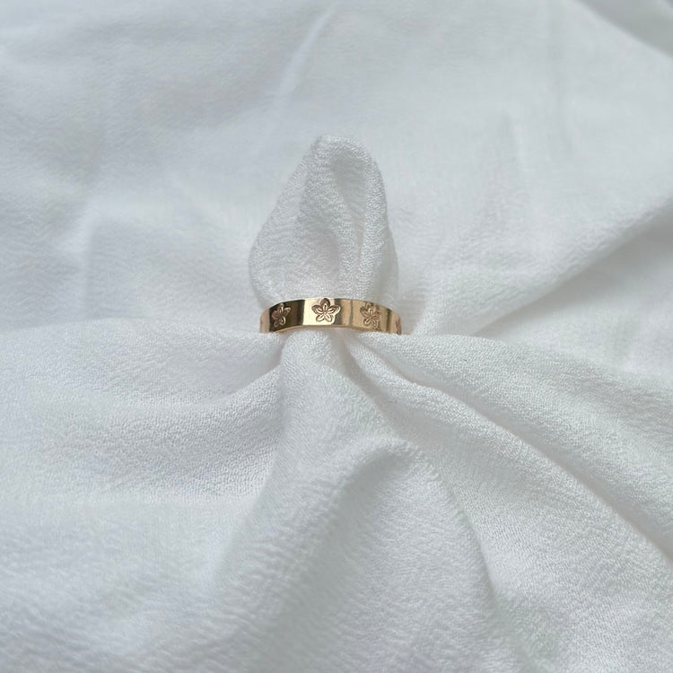 Nāʻū Ring